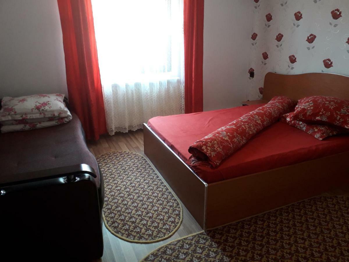 Pensiunea Ileana Novaci-Străini Exterior foto